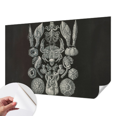 Fototapet för barn Undervattensformer