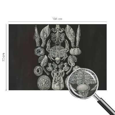 Fototapet för barn Undervattensformer