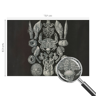 Fototapet för barn Undervattensformer