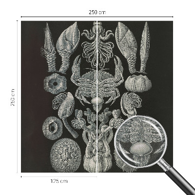 Fototapet för barn Undervattensformer