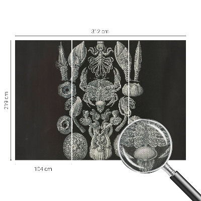 Fototapet för barn Undervattensformer