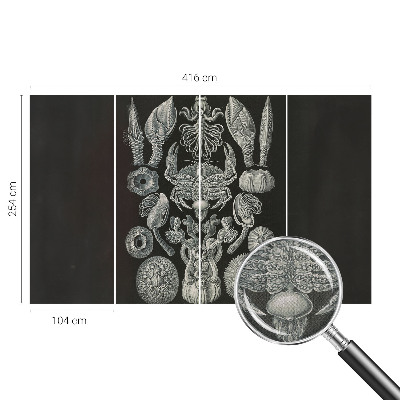 Fototapet för barn Undervattensformer