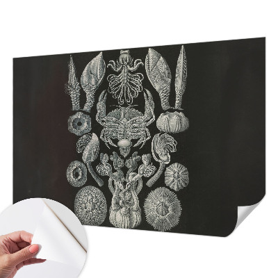 Fototapet för barn Undervattensformer