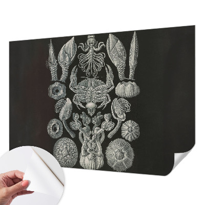 Fototapet för barn Undervattensformer