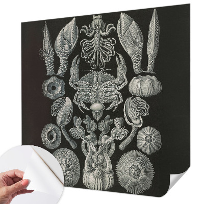 Fototapet för barn Undervattensformer