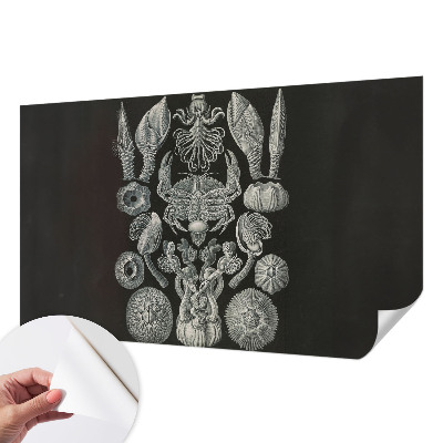 Fototapet för barn Undervattensformer