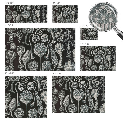 Självhäftande fototapet Magiska växter