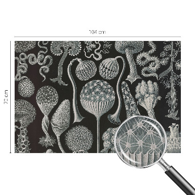 Självhäftande fototapet Magiska växter