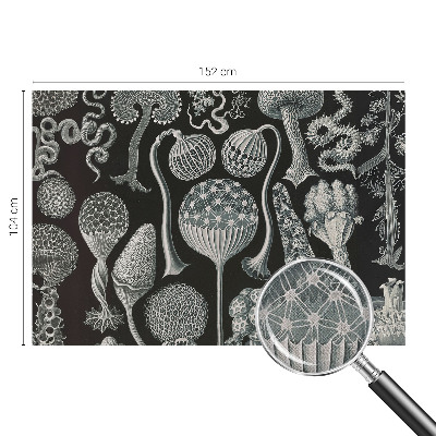 Självhäftande fototapet Magiska växter