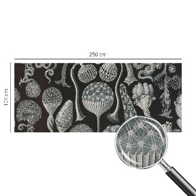 Självhäftande fototapet Magiska växter