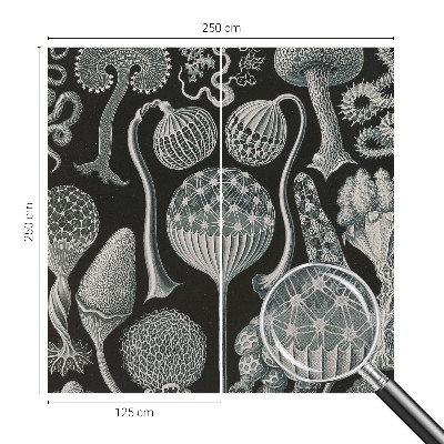 Självhäftande fototapet Magiska växter