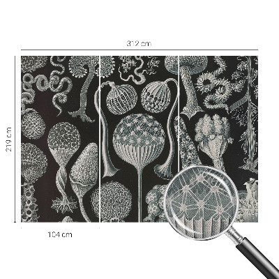 Självhäftande fototapet Magiska växter