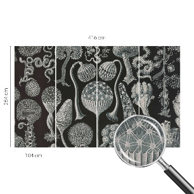 Självhäftande fototapet Magiska växter