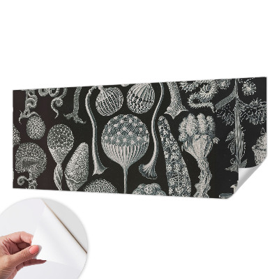 Självhäftande fototapet Magiska växter