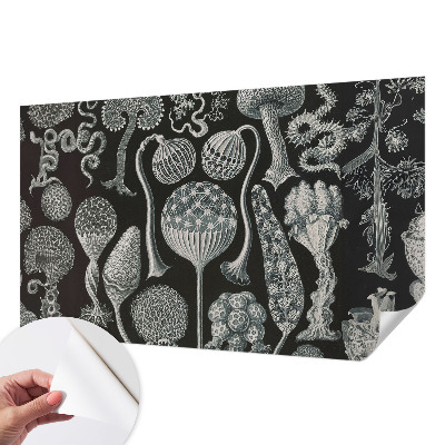 Självhäftande fototapet Magiska växter