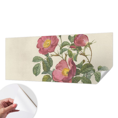 Självhäftande fotovägg med rosor som motiv