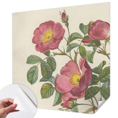 Självhäftande fotovägg Rosmotiv