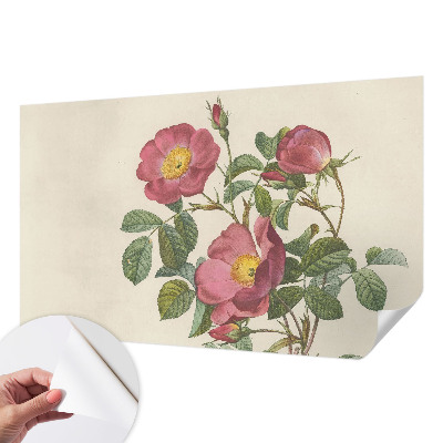 Självhäftande fotovägg Rosmotiv