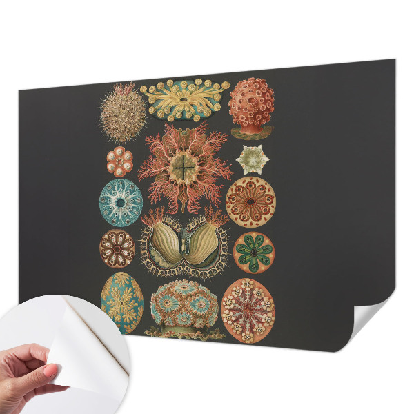 Självhäftande fototapet Havsinspirationer