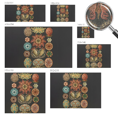 Självhäftande fototapet Havsinspirationer