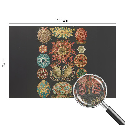 Självhäftande fototapet Havsinspirationer