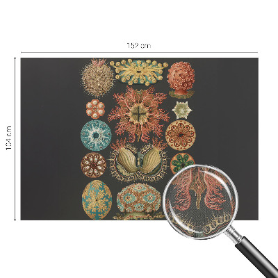 Självhäftande fototapet Havsinspirationer