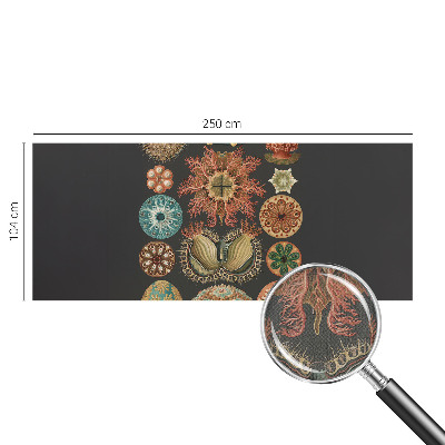 Självhäftande fototapet Havsinspirationer