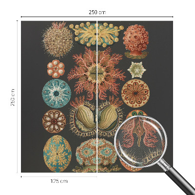 Självhäftande fototapet Havsinspirationer
