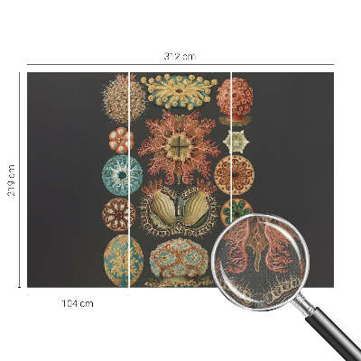 Självhäftande fototapet Havsinspirationer