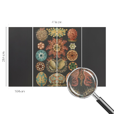 Självhäftande fototapet Havsinspirationer