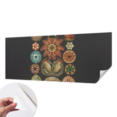 Självhäftande fototapet Havsinspirationer