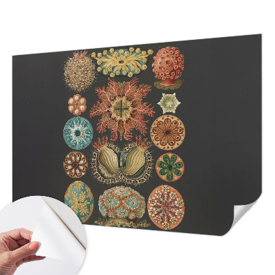 Självhäftande fototapet Havsinspirationer