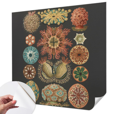 Självhäftande fototapet Havsinspirationer