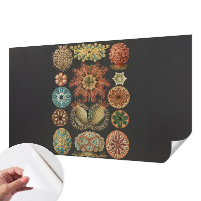 Självhäftande fototapet Havsinspirationer