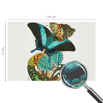 Fototapet barn Färgglada fjärilar