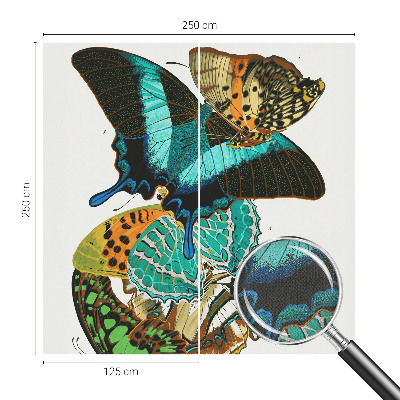 Fototapet barn Färgglada fjärilar