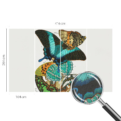 Fototapet barn Färgglada fjärilar