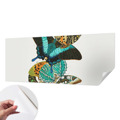 Fototapet barn Färgglada fjärilar