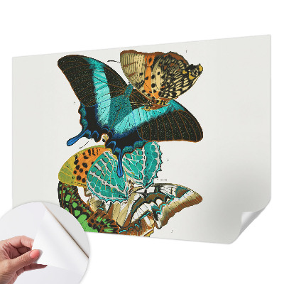 Fototapet barn Färgglada fjärilar