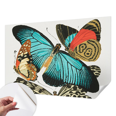 Fototapet barnrum Färgglada fjärilar