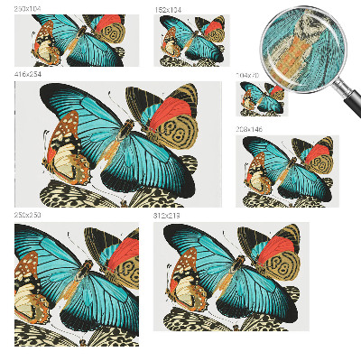 Fototapet barnrum Färgglada fjärilar