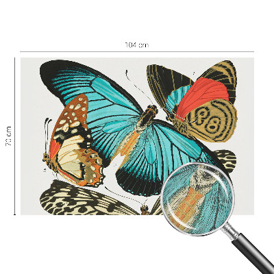 Fototapet barnrum Färgglada fjärilar