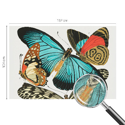 Fototapet barnrum Färgglada fjärilar