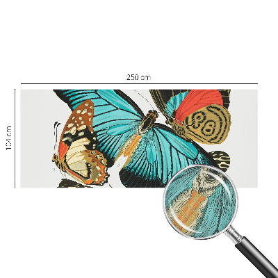 Fototapet barnrum Färgglada fjärilar