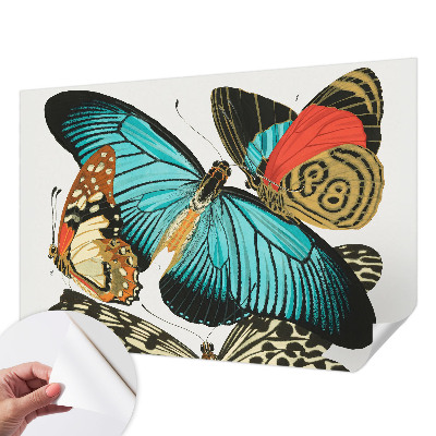 Fototapet barnrum Färgglada fjärilar