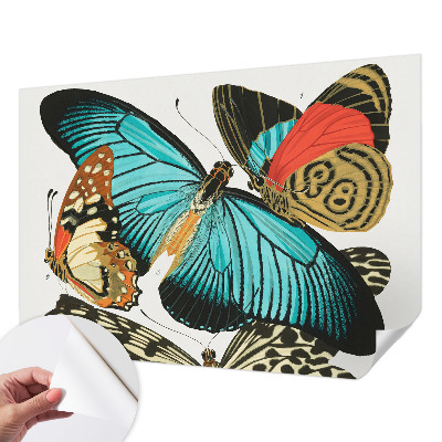 Fototapet barnrum Färgglada fjärilar