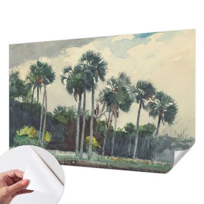 Självhäftande fotovägg Exotiska palmer