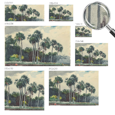 Självhäftande fotovägg Exotiska palmer