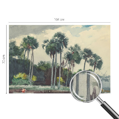 Självhäftande fotovägg Exotiska palmer