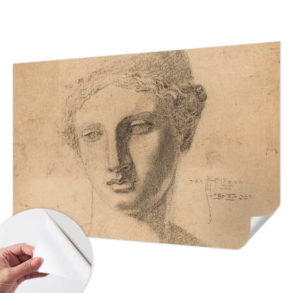 Självhäftande fototapet Kvinnligt porträtt